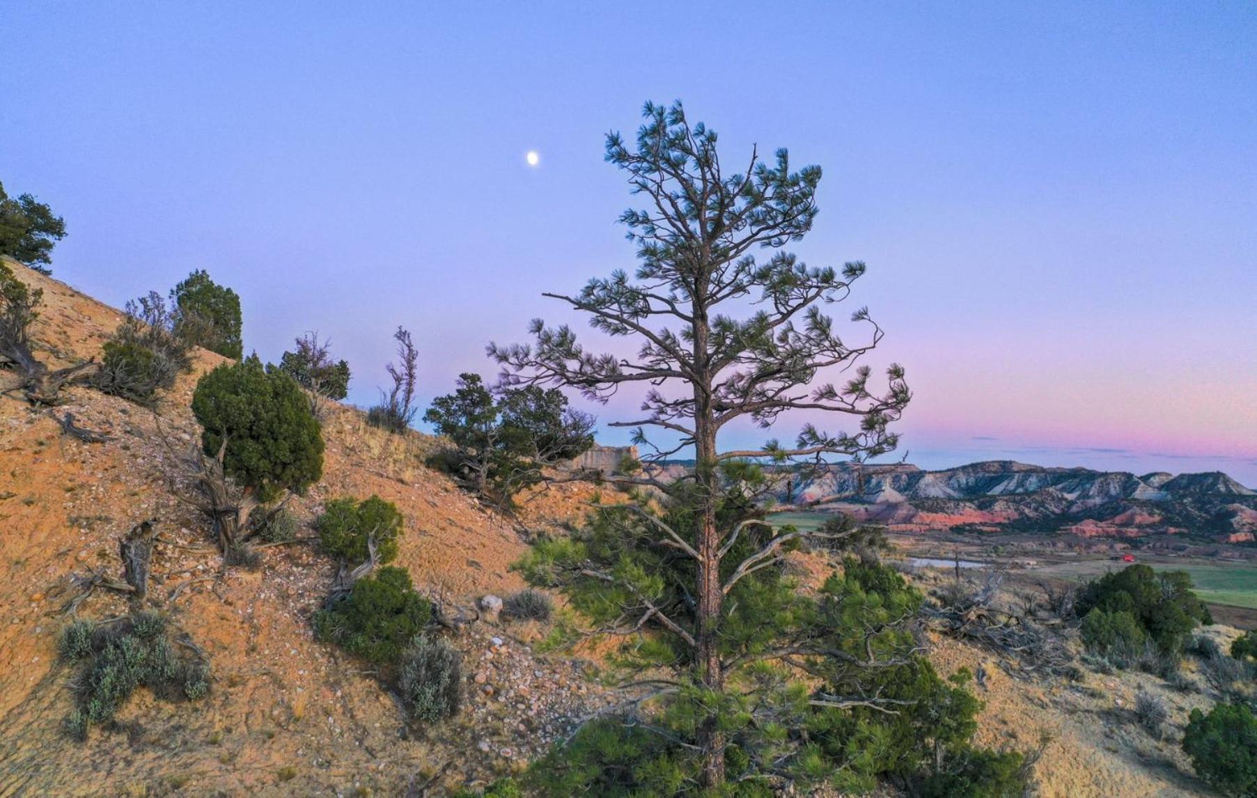 Clear Sky Resorts - Bryce Canyon - Unique Stargazing Domes Cannonville Exterior photo